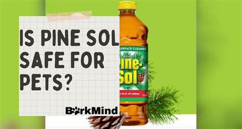 Is pine sol safe for dogs. Things To Know About Is pine sol safe for dogs. 